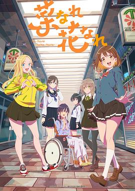 山西seo软件哪家好用